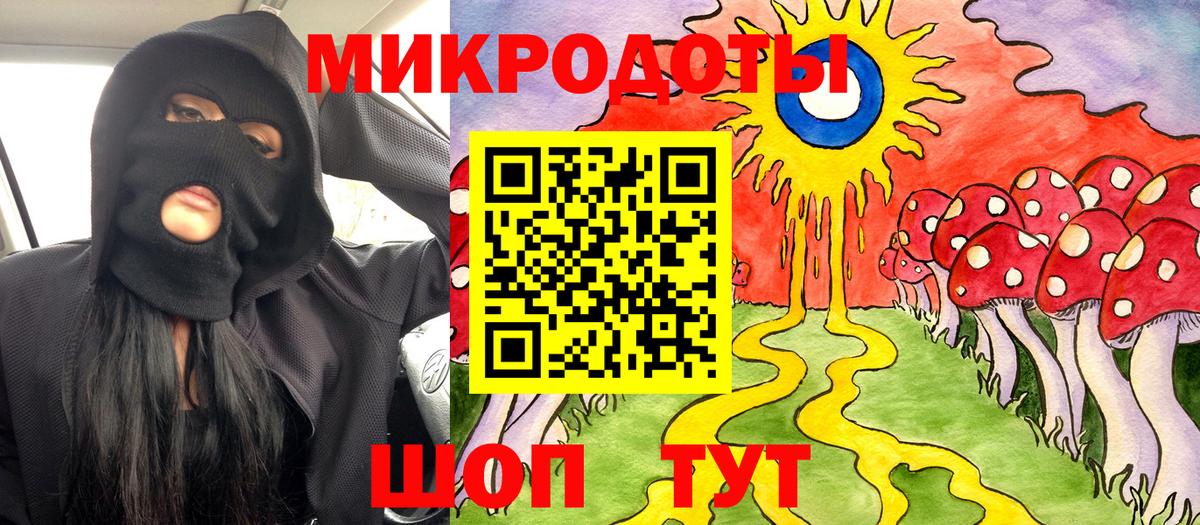 Псилоцибиновые грибы Psilocybine cubensis Бутурлиновка